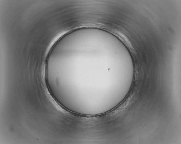 X0000112020804200908031040
