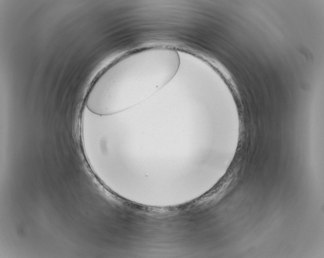 X0000112020807200908031040