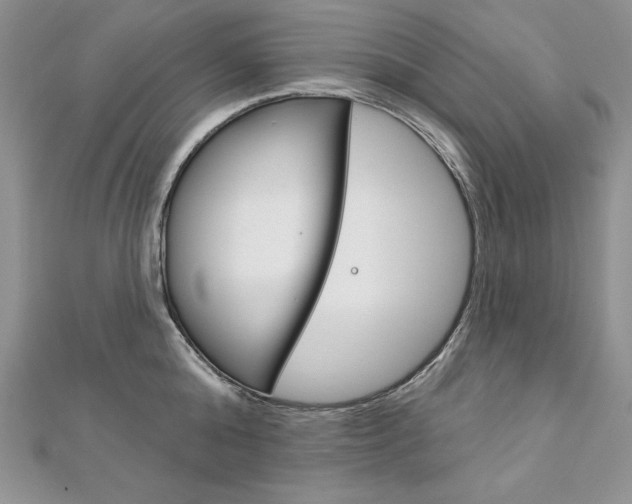 X0000112020808200908031040
