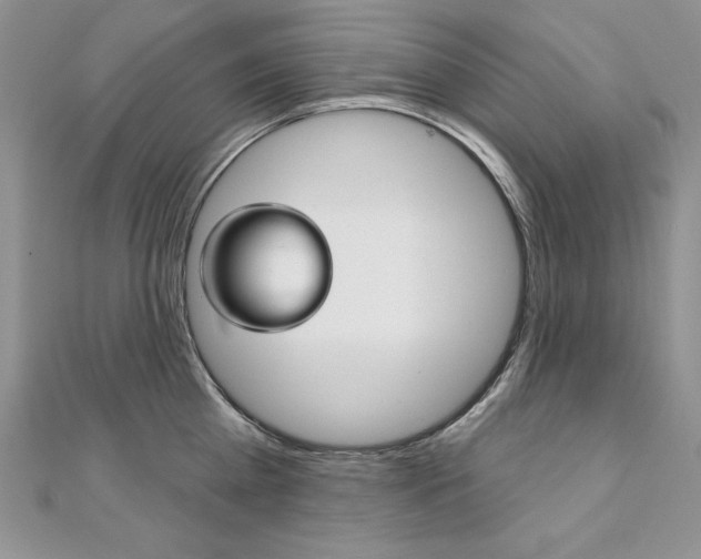 X0000112020809200908031040