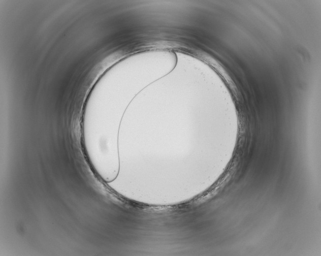 X0000112020810200908031040