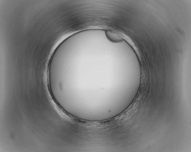 X0000112020811200908031040