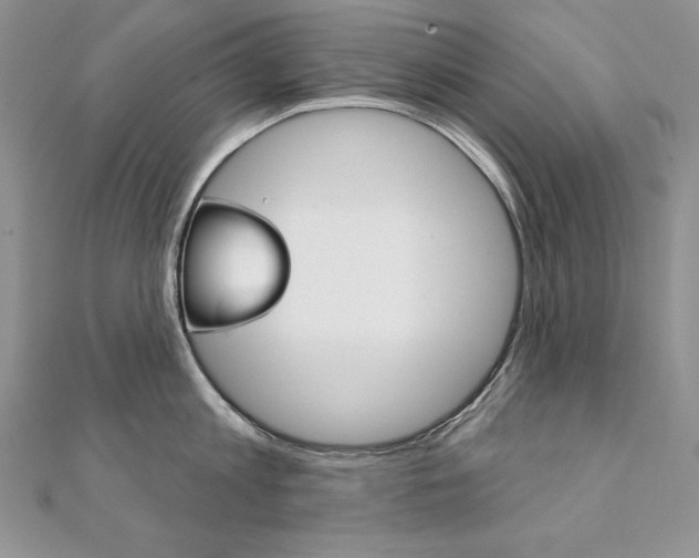 X0000112020813200908031040
