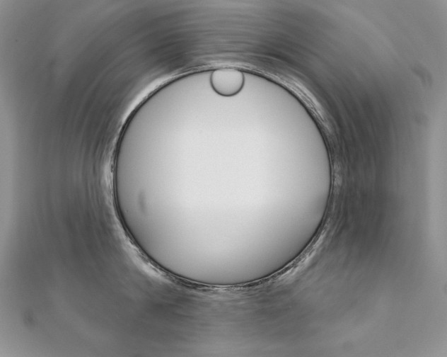 X0000112020814200908031040