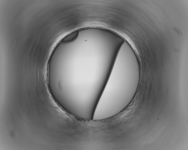 X0000112020815200908031040