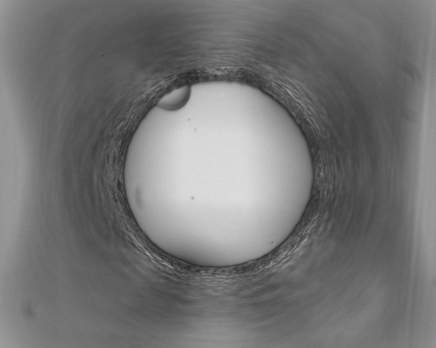 X0000112020817200908031040