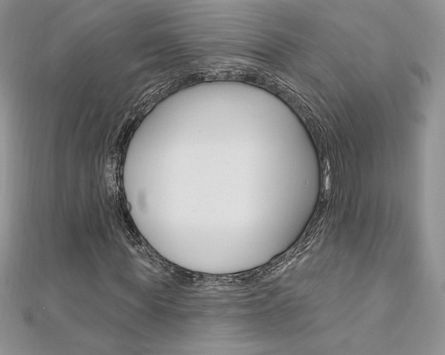 X0000112020819200908031040