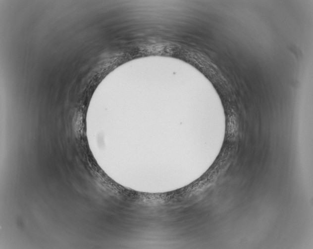 X0000112020820200908031040