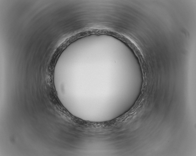 X0000112020823200908031040