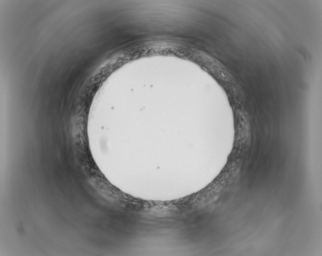 X0000112020824200908031040