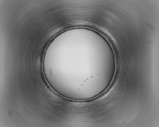 X0000112020825200908031040