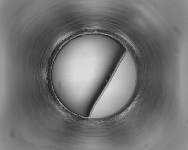 X0000112020826200908031040