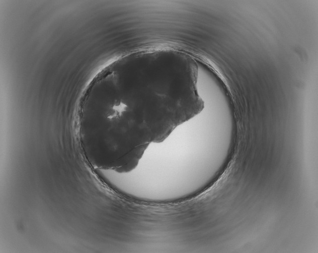 X0000112020827200908031040