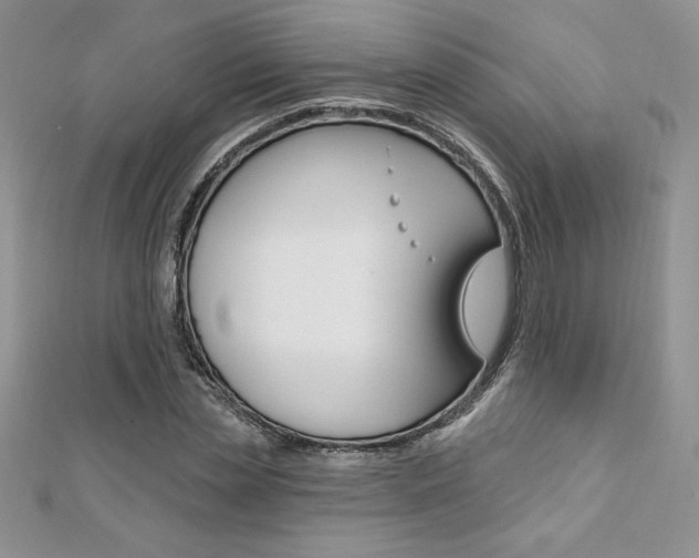 X0000112020829200908031040