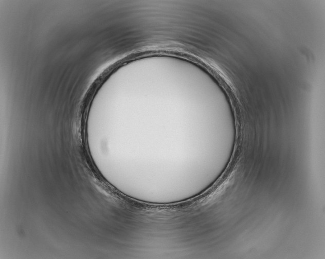 X0000112020830200908031040