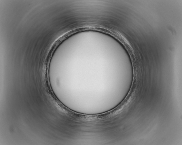 X0000112020831200908031040