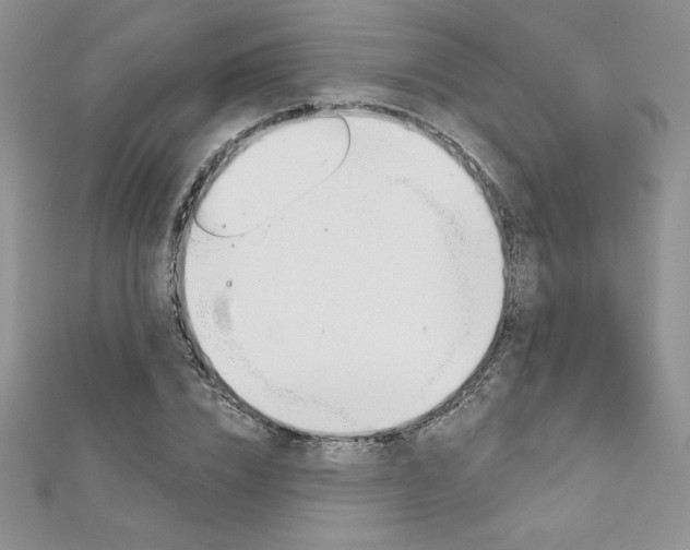 X0000112020832200908031040