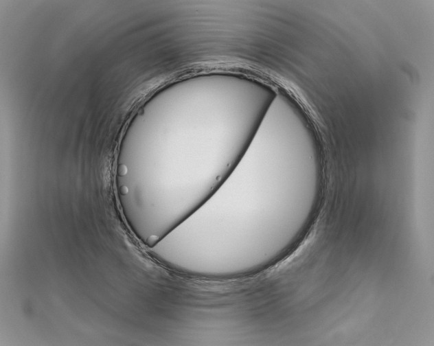 X0000112020833200908031040