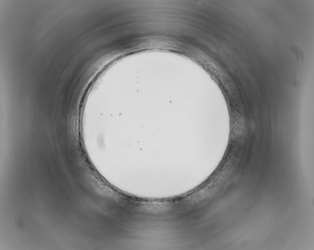 X0000112020836200908031040