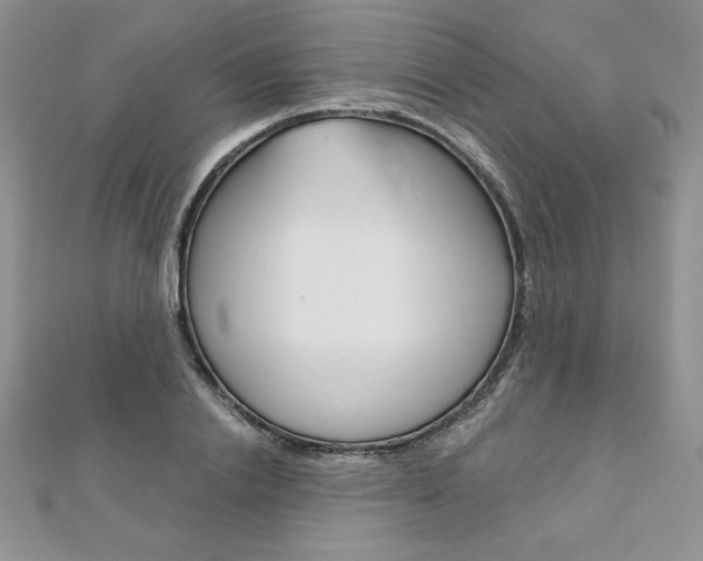 X0000112020838200908031040