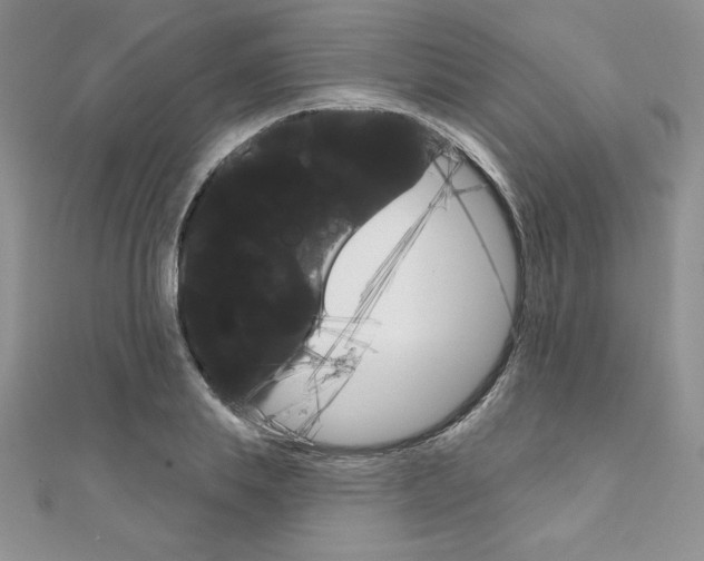 X0000112020839200908031040