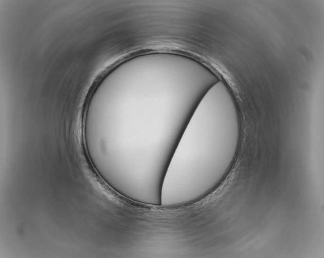 X0000112020840200908031040