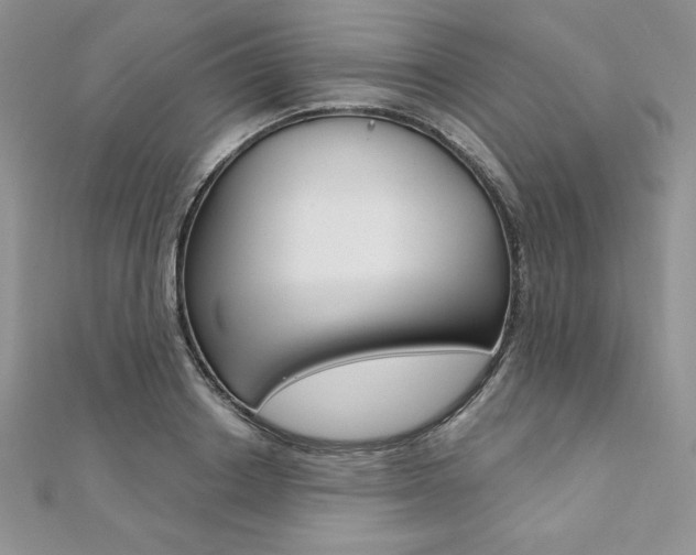 X0000112020842200908031040