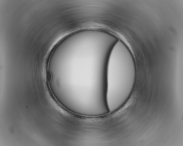 X0000112020843200908031040
