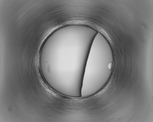 X0000112020844200908031040