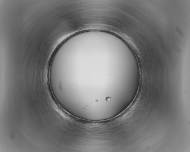 X0000112020846200908031040