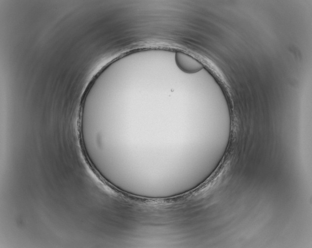 X0000112020847200908031040