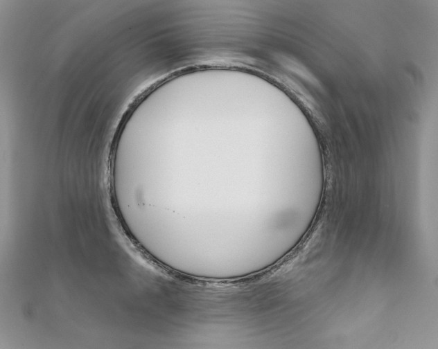 X0000112020848200908031040