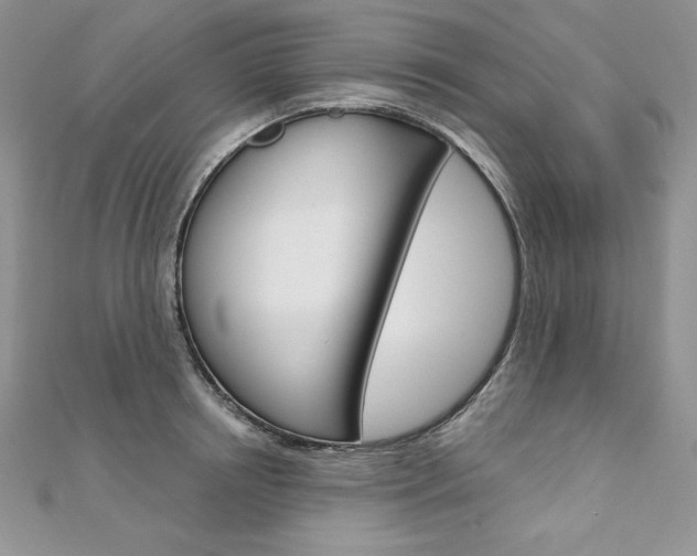 X0000112020850200908031040