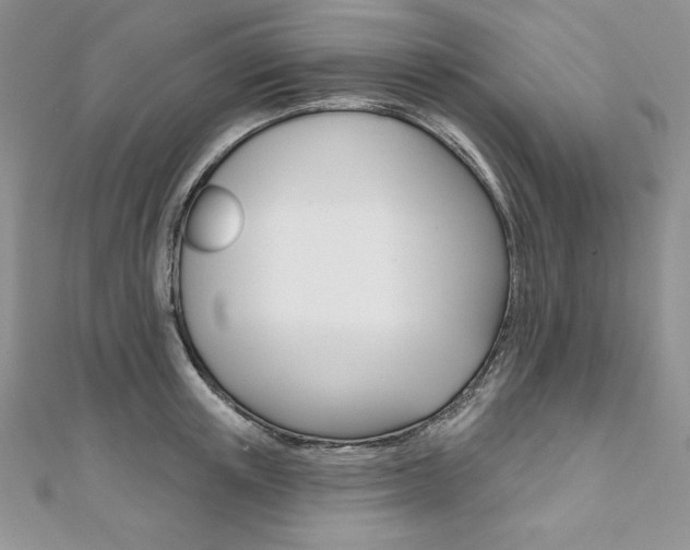 X0000112020851200908031040