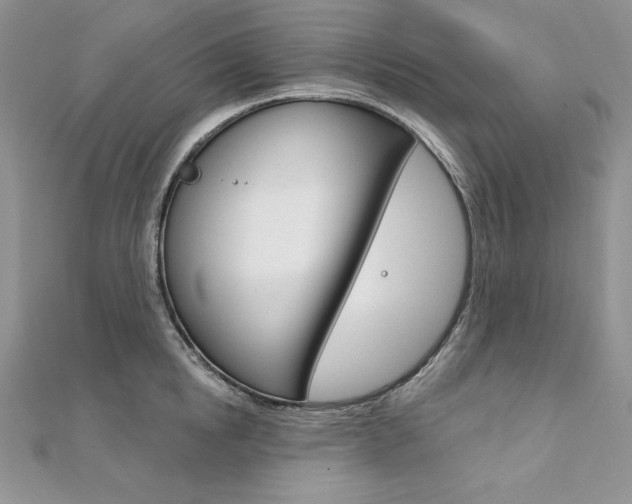 X0000112020854200908031040