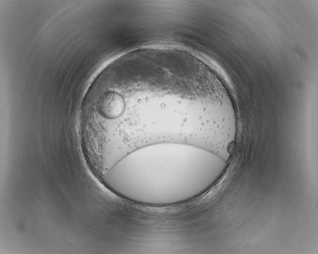 X0000112020855200908031040