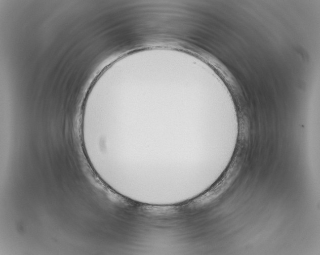 X0000112020856200908031040