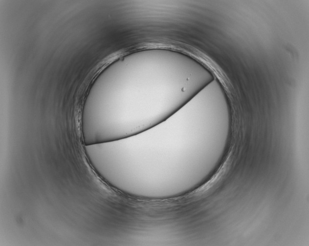 X0000112020857200908031040