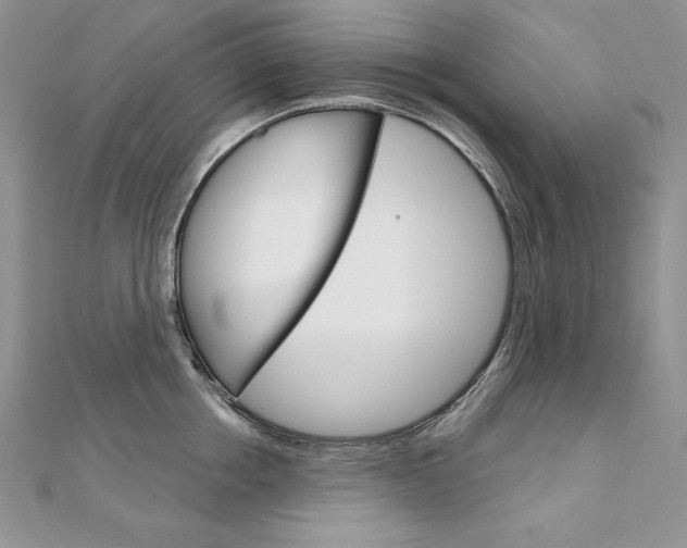 X0000112020858200908031040