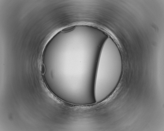 X0000112020860200908031040