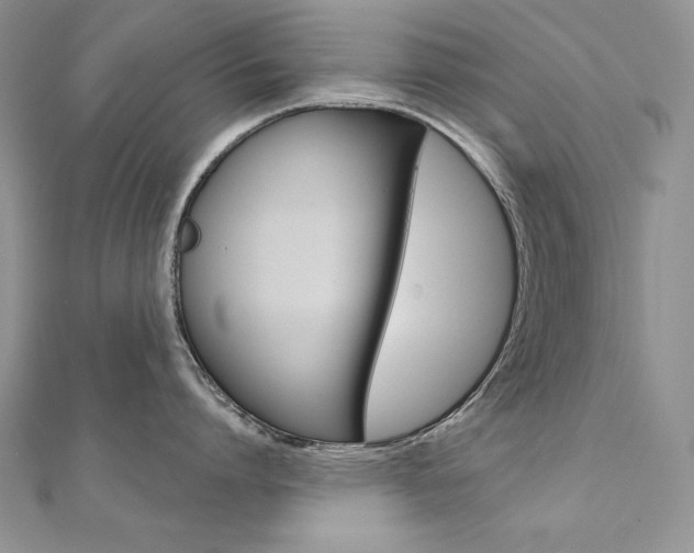 X0000112020864200908031040