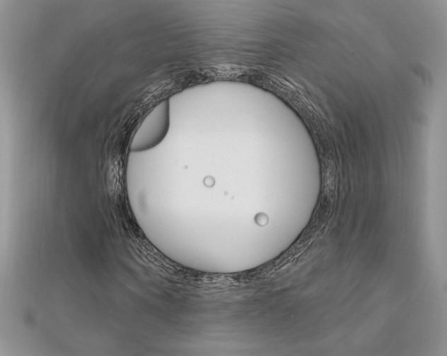X0000112020866200908031040