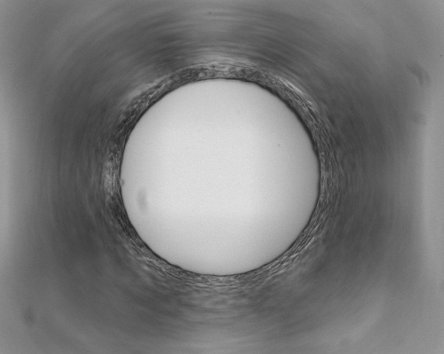 X0000112020869200908031040