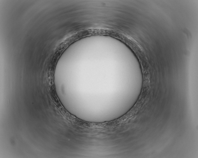 X0000112020870200908031040