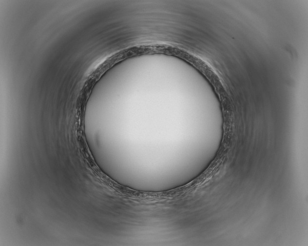 X0000112020871200908031040