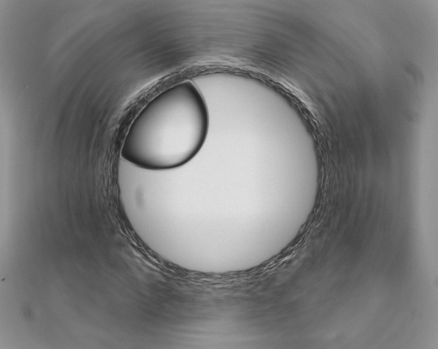 X0000112020872200908031040
