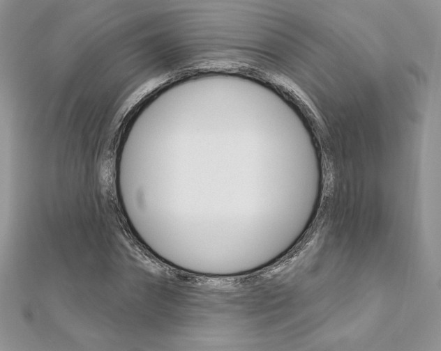 X0000112020874200908031040