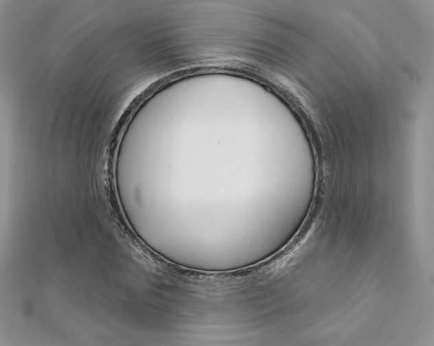 X0000112020875200908031040