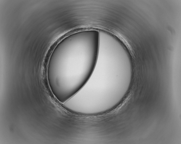 X0000112020876200908031040