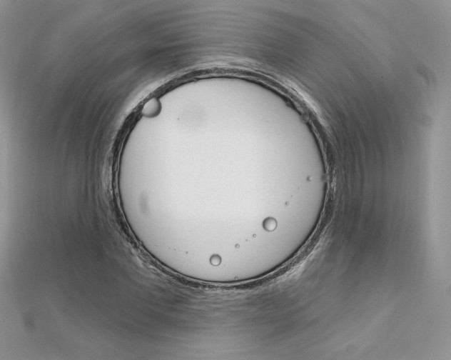 X0000112020877200908031040